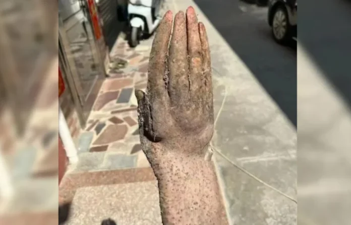 रहस्यमयी हाथ जैसा रतालू